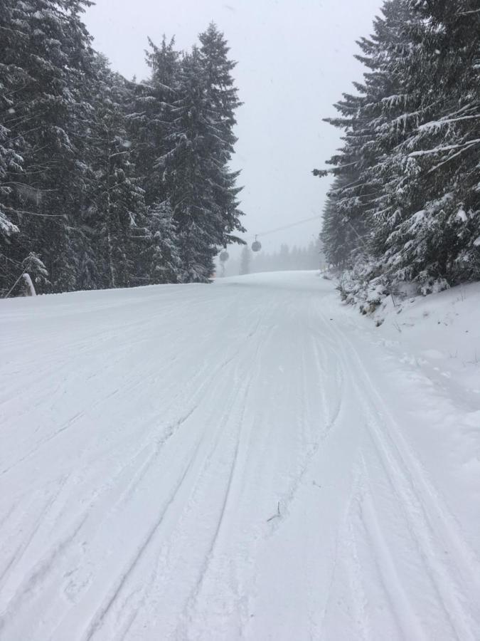 Alpen I