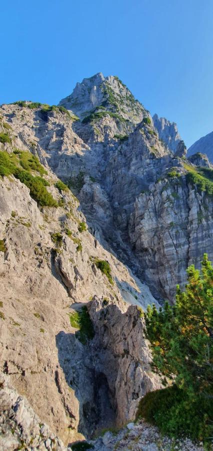Alpen I * Ellmau