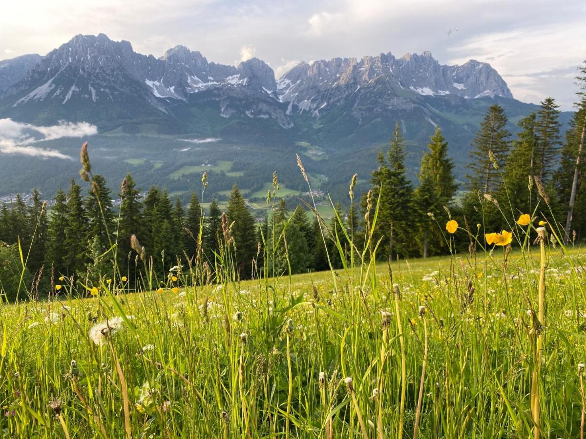 Alpen I